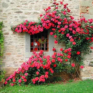 Ai Frati Alloggio per agriturismo